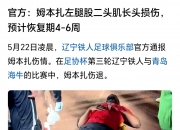 九游官方-新伤病确诊：球队一员将缺席未来的比赛