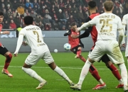 九游活动-包含沃尔夫斯堡连续不胜，德甲降级危机的词条